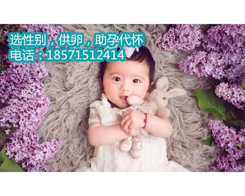 【北京供卵中介哪家靠谱】12周+6NT一次过，开心 北京供卵助孕生子