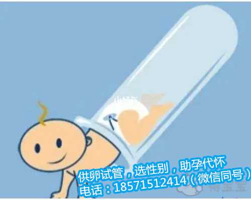 北京试管婴儿多少钱能助孕成功 北京请人代孕多少钱